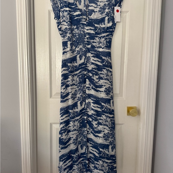 Reformation Dresses & Skirts - Reformation Naked Lunch Print Blue and White Maxi Dress